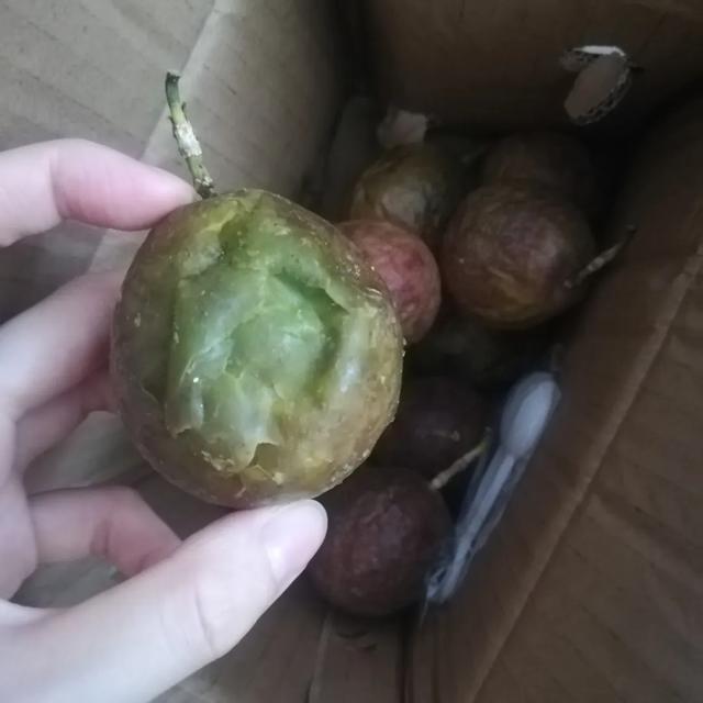 拼多多水果便宜的原因是（拼多多水果便宜的原因是什么）