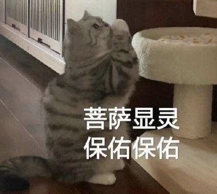 请保姆哪个平台比较好一点（请保姆哪个平台比较好找）
