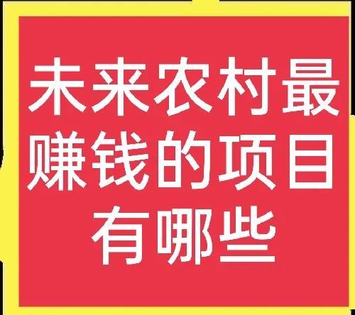 未来农村赚钱的行业排行榜（未来农村最赚钱的行业）