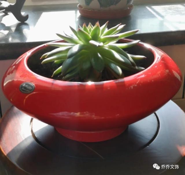种花发朋友圈短句，花的图片发朋友圈说说？