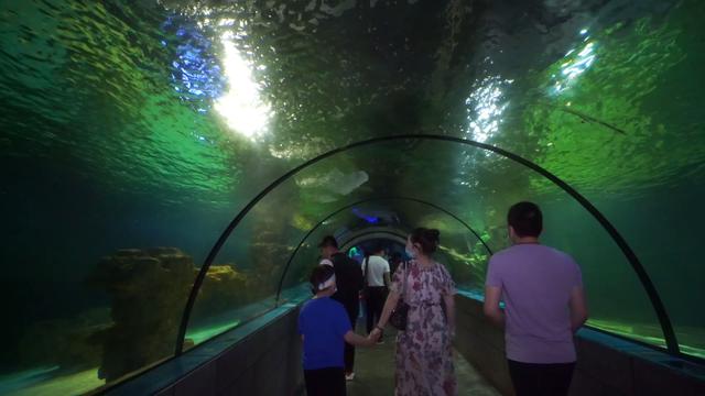 南宁方特游乐园有什么项目是免费的嘛，南宁方特乐园有哪些游乐项目