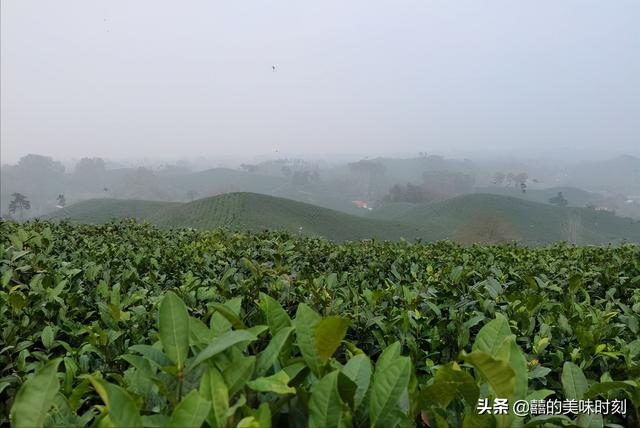 请客人吃饭开场白怎么讲，请客户吃饭开场白大全？