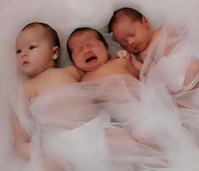 叶海洋为什么那么有钱，叶海洋为什么那么有钱,DC药局很火吗？