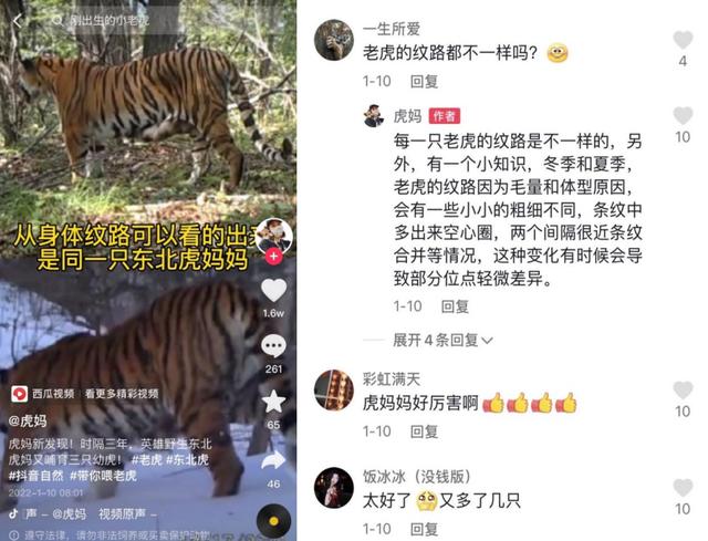 抖音介绍自己的个性签名短句，抖音介绍自己的个性签名励志？