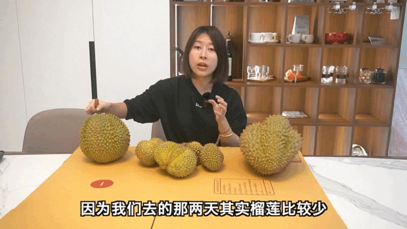 榴莲没熟打开后怎么办 榴莲没开口怎么催熟（榴莲没熟打开后怎么办壳已经丟掉了）