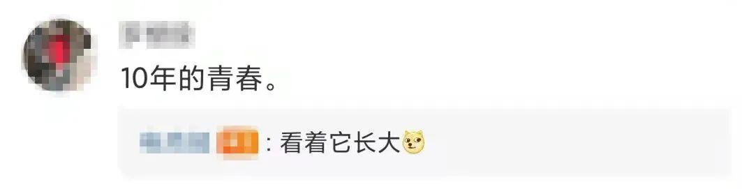微信朋友圈怎么分享歌曲文件，微信朋友圈怎么分享歌曲？
