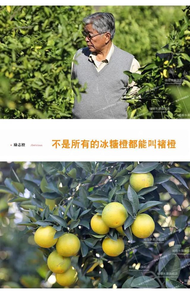 褚橙创始人褚时健我们学到了什么，褚时健创业的故事对销售的启示