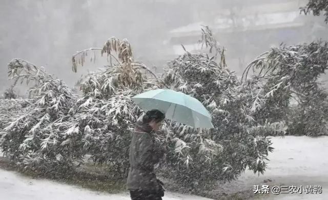 今天的天气预报直播回放视频，今天的天气预报直播回放视频下载？