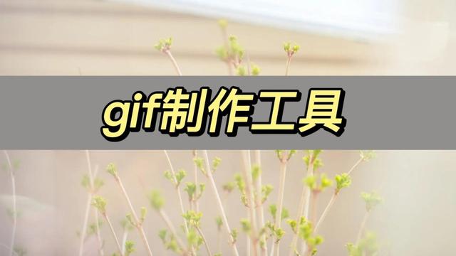 快手gif怎么保存到相册是vivo手机，快手gif怎么保存到相册是vivo手机上？