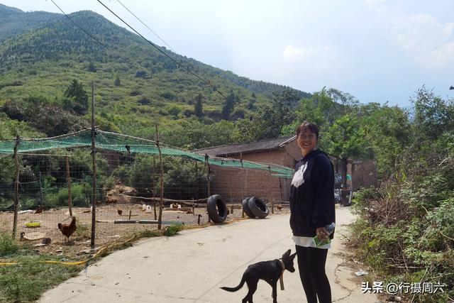 养植什么动物最赚钱呢知乎，养植什么动物最赚钱呢图片？