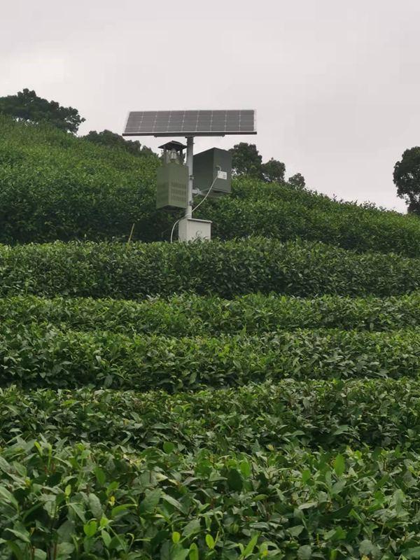 杭州微信喝茶群去哪里找，杭州喝茶vx群