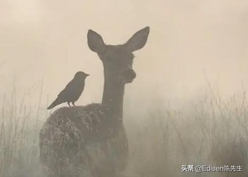 世界是虚拟的九大证据1005无标题（世界是虚拟的九大证据之一）