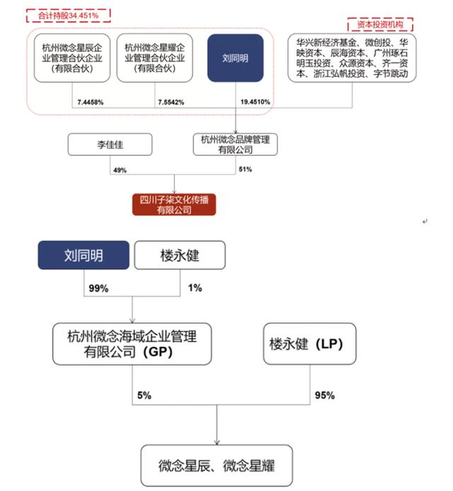李子柒创业成功的个人因素，李子柒盈利模式分析？