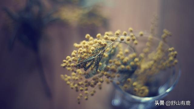 桃花劫是情劫吗，桃花劫要挡,桃花债要还？