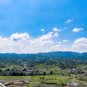 6岁生日文案朋友圈，女人36岁生日文案朋友圈？"