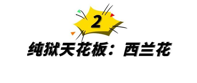 抖音网红迅猛龙事件，抖音主播迅猛龙