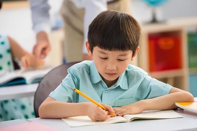 it线上培训机构排名前十（线上培训机构排名前十小学）