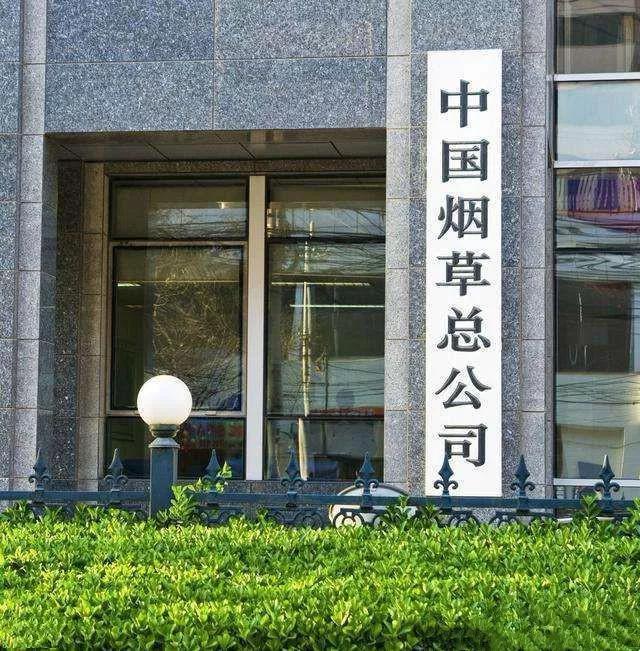 中国烟草总公司小微企业认定标准，中国烟草是微小企业