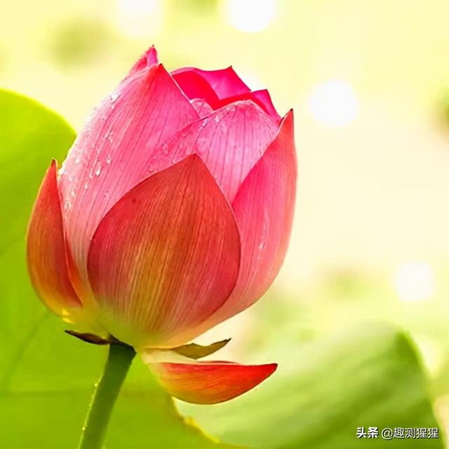 下载星座运势小程序，下载星座运势小程序安装？