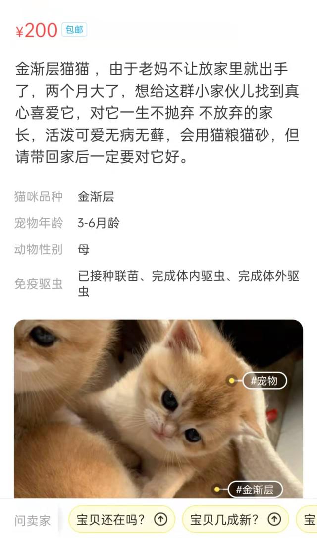 闲鱼卖东西有没有手续费，闲鱼卖东西有没有手续费啊