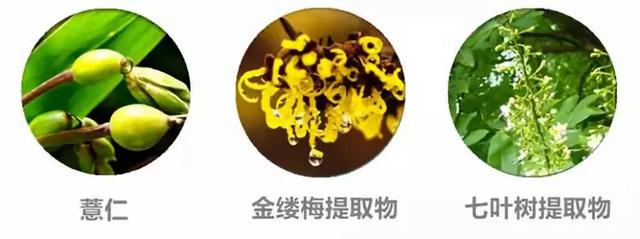 韩医生专业祛痘皮肤管理中心（北京韩医生祛痘连锁机构）