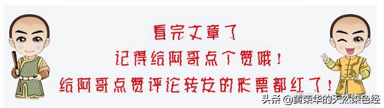 野菊花图片 功效（药用野菊花图片）