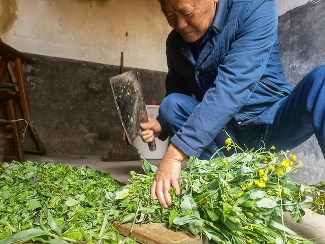 幸福养猪场赚钱是真的吗知乎（幸福养猪场赚钱是真的吗下载）