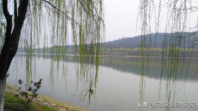 尚可诗牌子怎么样 健康吗（尚可诗是品牌吗）