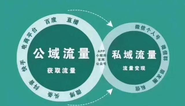 新媒体代运营方案，个人IP代运营方案？