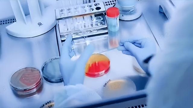 视频号如何做推广（视频号推广方法）