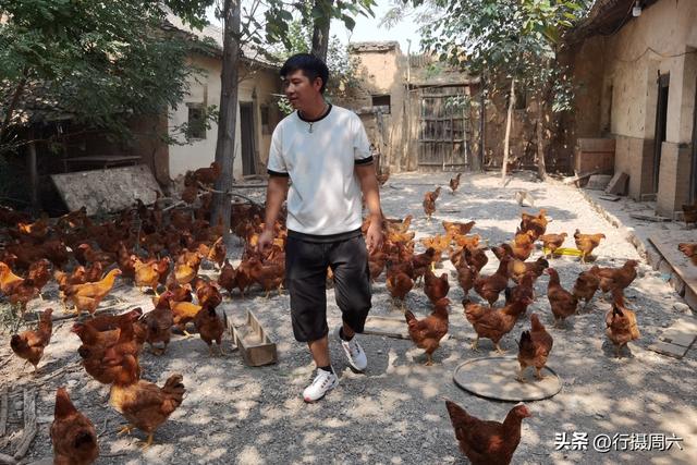 养植什么动物最赚钱呢知乎，养植什么动物最赚钱呢图片？