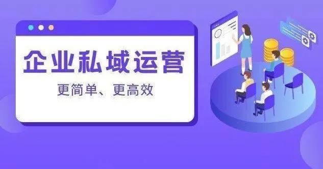新媒体代运营方案，个人IP代运营方案？