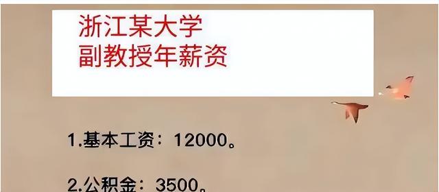 大学老师可以做的副业，大学老师能干副业吗？