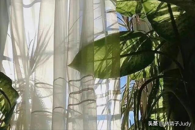 没本钱怎么快速赚钱，怎样无本钱快速挣钱？