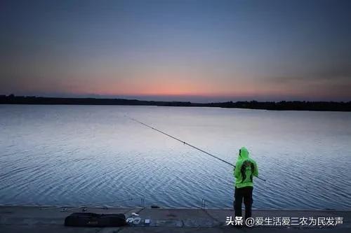 农业致富好项目，农村养殖致富？