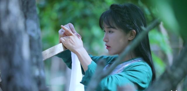 李子柒创业成功案例分析，李子柒创新创业项目案例分析