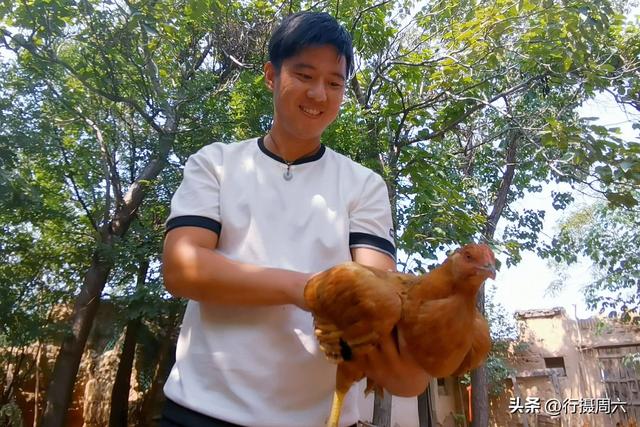养植什么动物最赚钱呢知乎，养植什么动物最赚钱呢图片？