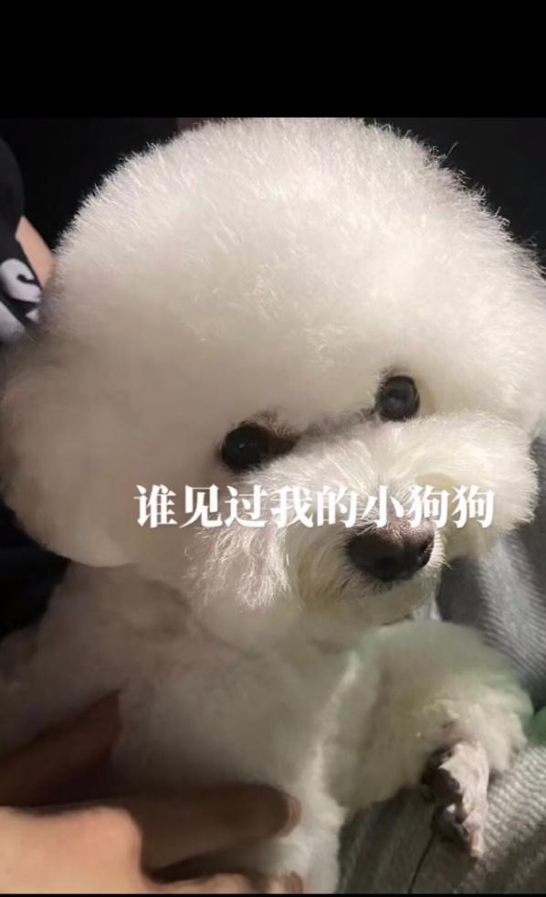 抖音网红六万一晚，抖音网红一晚上挣几十万？