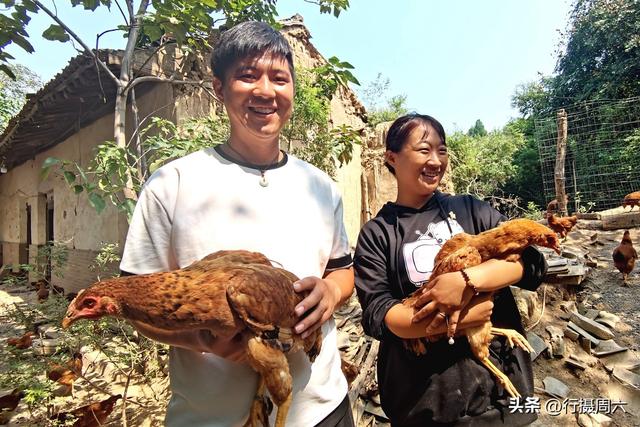 养植什么动物最赚钱呢知乎，养植什么动物最赚钱呢图片？