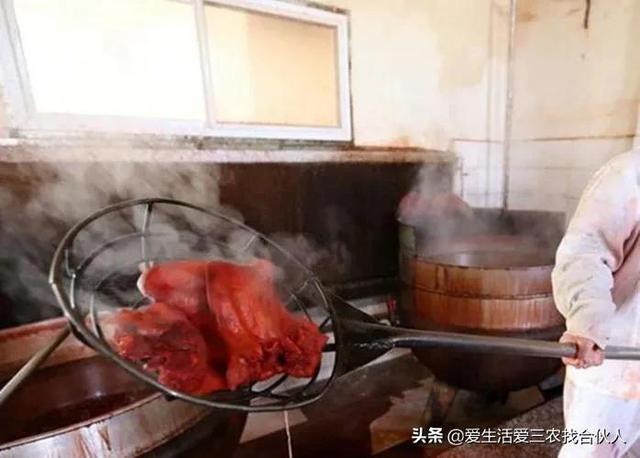 穷人创业项目能赚100万，穷人创业项目有哪些？