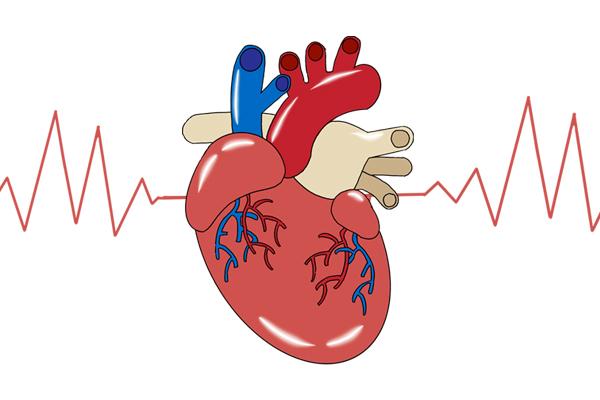 心肌酶是什么检查项目正常值，心肌酶是什么检查项目正常值范围？