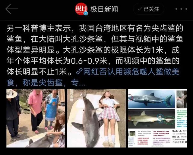 抖音网红莉哥怎么了到底，抖音女网红莉哥怎么了？