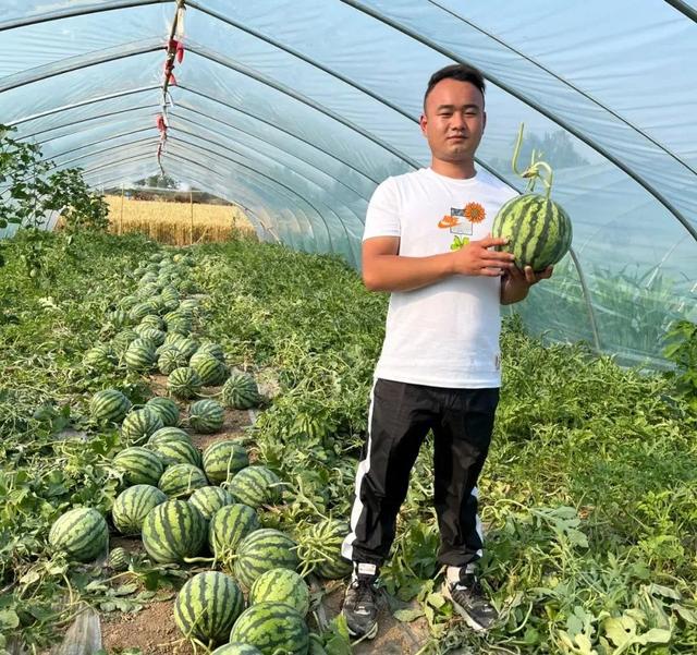 一个人单干暴利项目加微信，一个人单干暴利项目一个人怎么做销售？