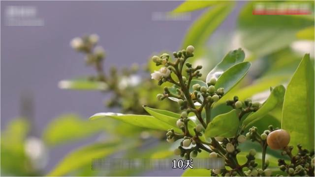 快手素材从哪里找，快手素材库下载免费？