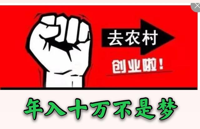 农村什么项目好赚钱，现在农村干什么挣钱8个项目推荐？