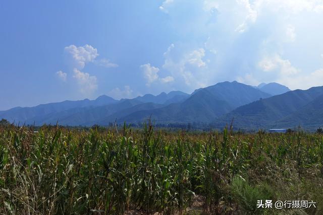 养植什么动物最赚钱呢知乎，养植什么动物最赚钱呢图片？