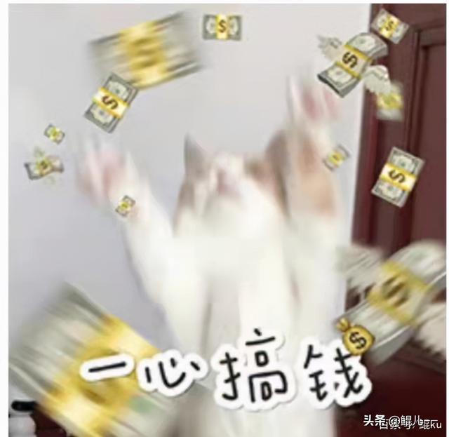 目前做什么小生意赚钱，目前做什么小生意赚钱在地下室里面？