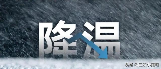 今天的天气预报直播回放视频，今天的天气预报直播回放视频下载？