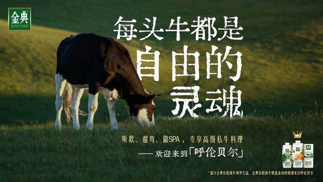 广告牛南通分公司孙杰，广告牛南通分公司员工