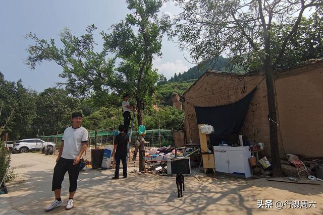 养植什么动物最赚钱呢知乎，养植什么动物最赚钱呢图片？